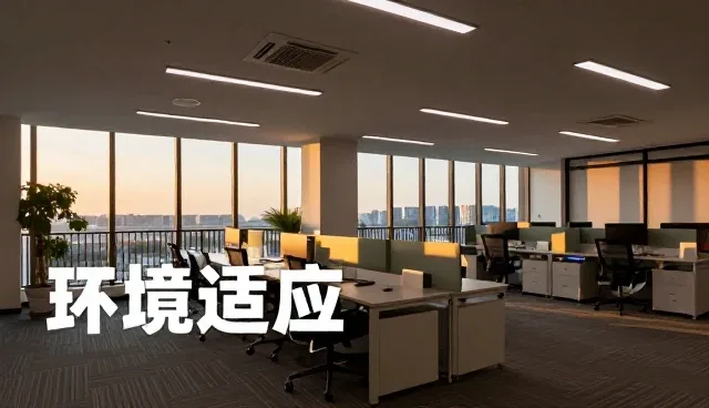 学校建设中工程配套服务适用条件的现实考量